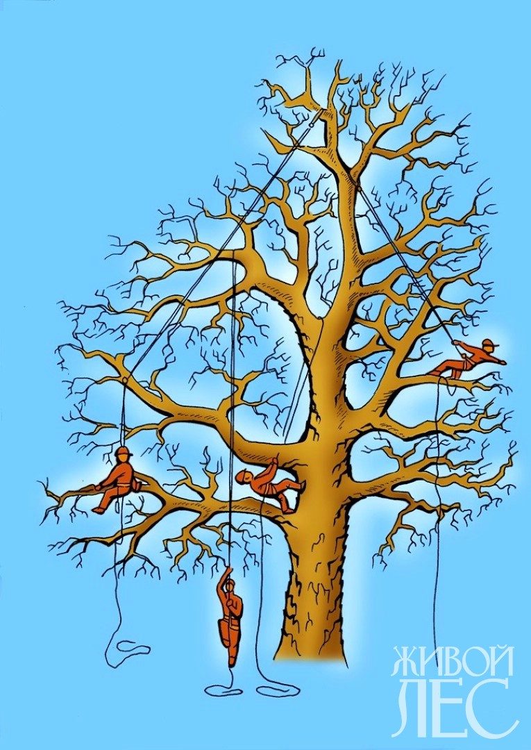 d180d0b8d181-55-copy-2920341