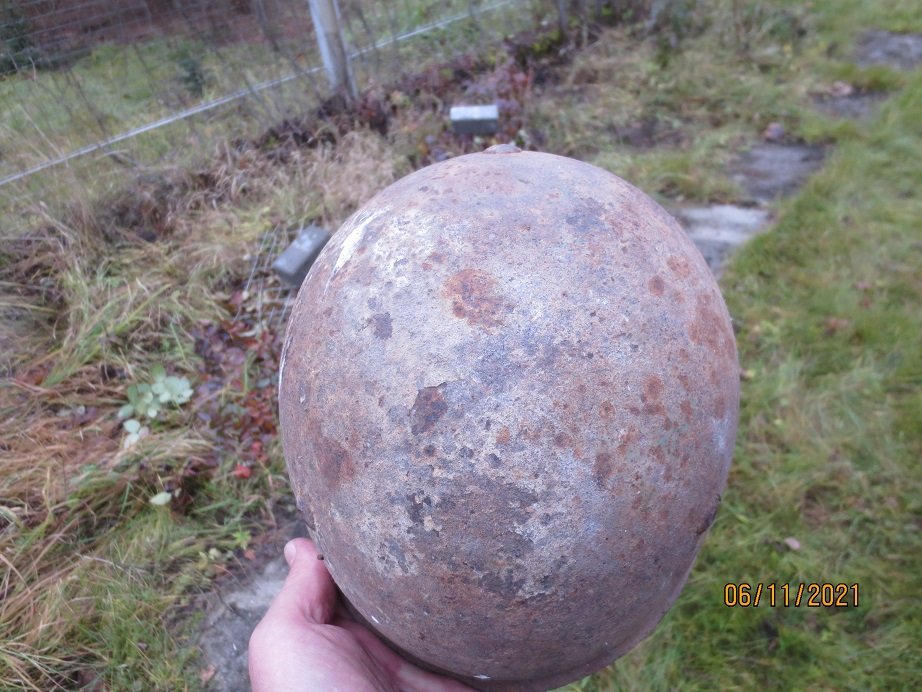 Что делать, если дерево упало на дом или забор?