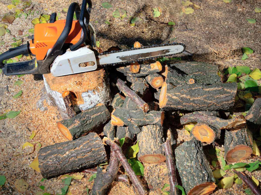 На что обратить внимание при заключении договора на спил деревьев