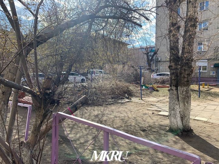 Как утилизировать спиленные ветки и стволы