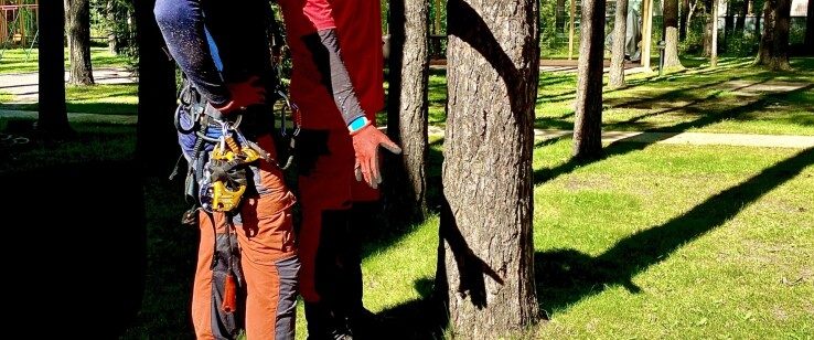 eb2c653e35d839b_738x308-7361599