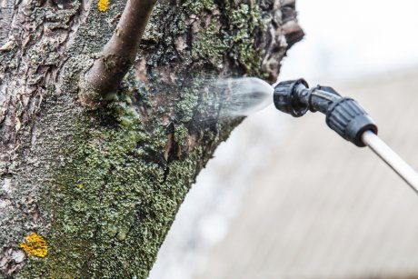 images7ccms-image-000061503-7426617