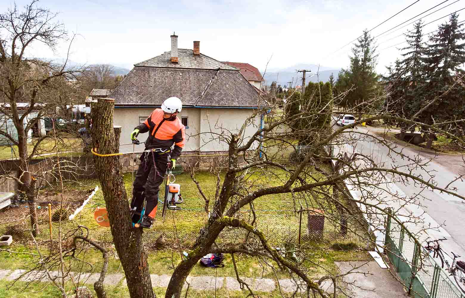 Поэтапное удаление дерева с завешиванием веток