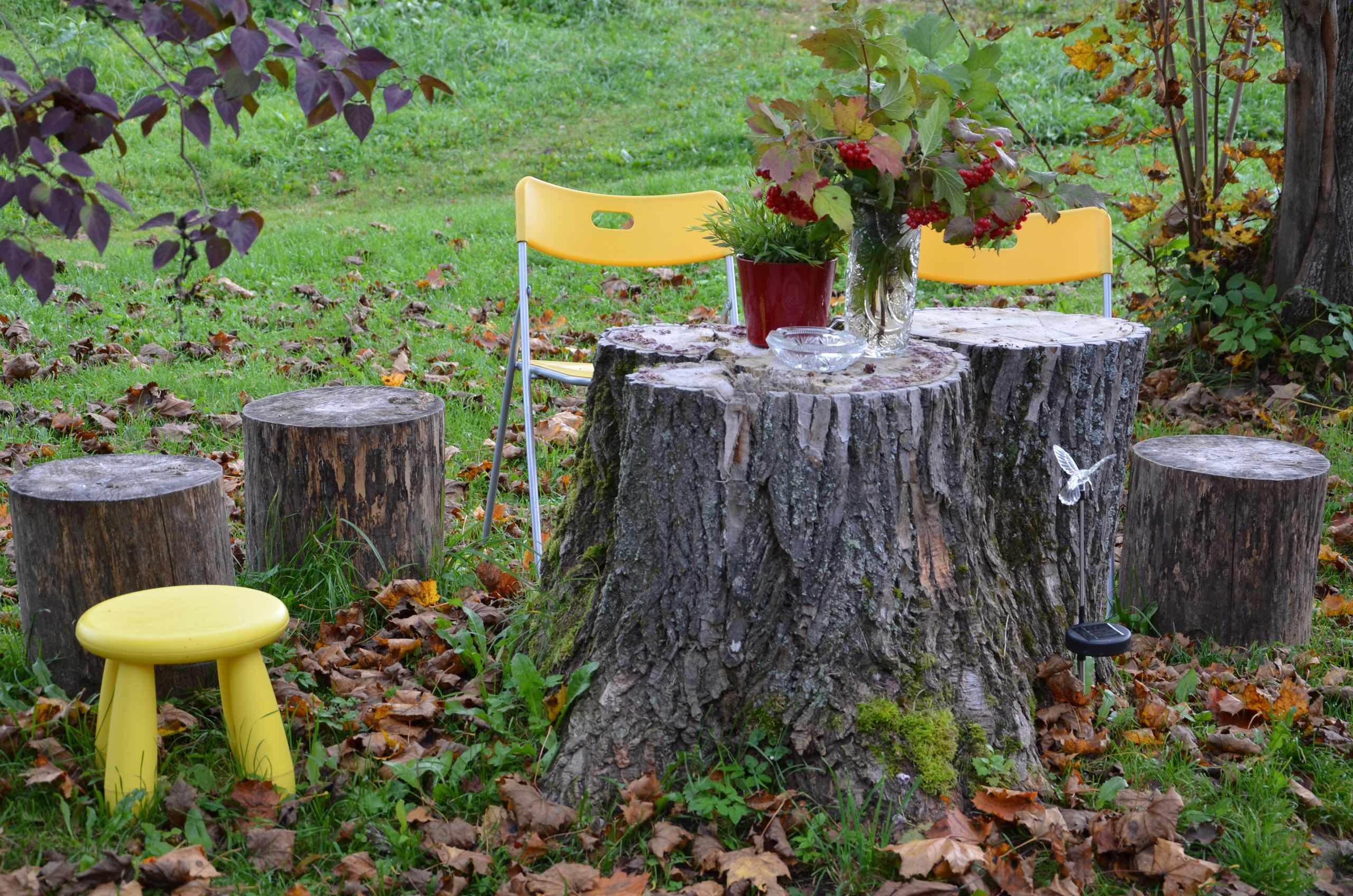 unnamed-file-7162983