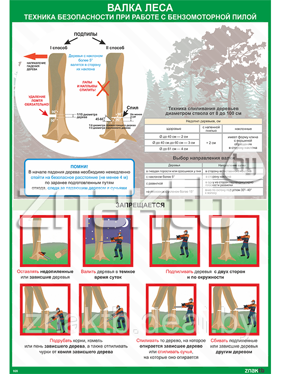 161780474_w640_h640_plakat-tehnika-bezopasnosti-7499381