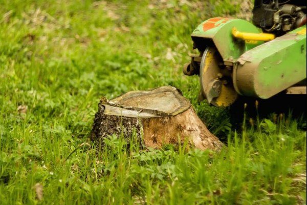 8219b972f58a0d11d60682e94c1b9794-6431725