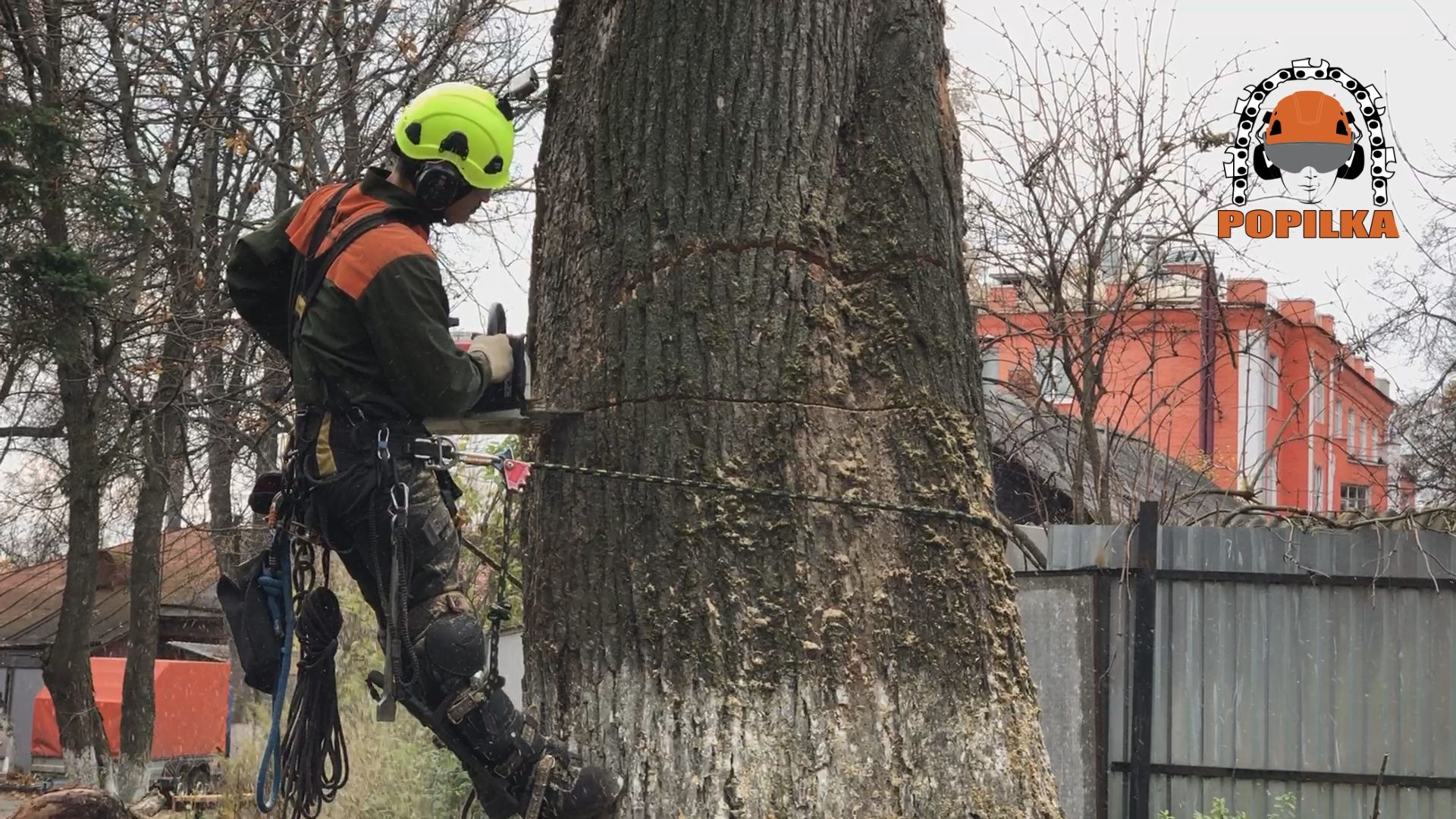 izobrazhenie3-3-8794827