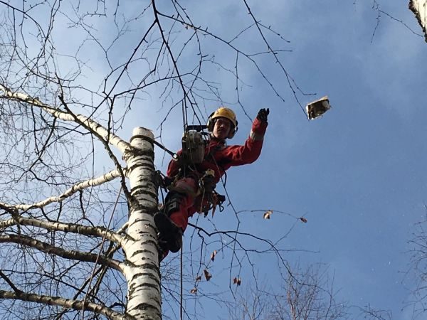 c383393837c84468ab9546ab3f303a3f-jpg-profi_max-8482967