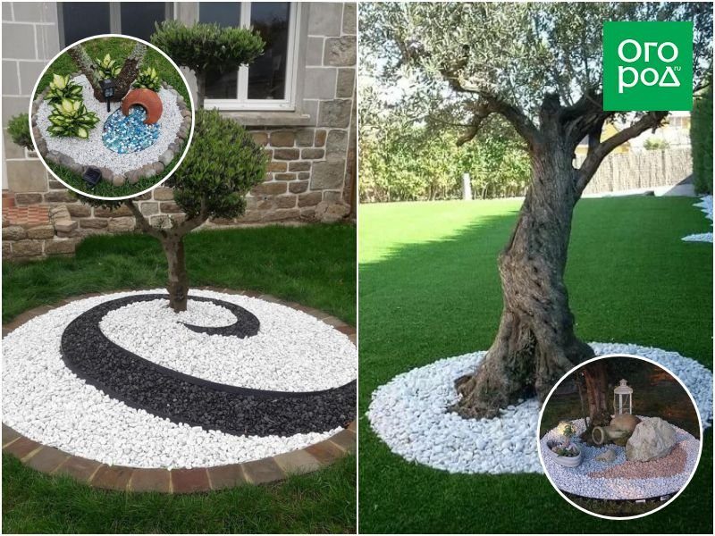 images7ccms-image-000105066-3911941