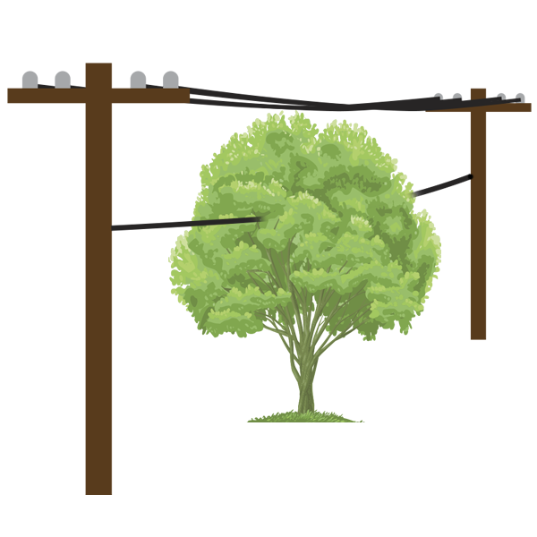 treetrim_plain-5199364